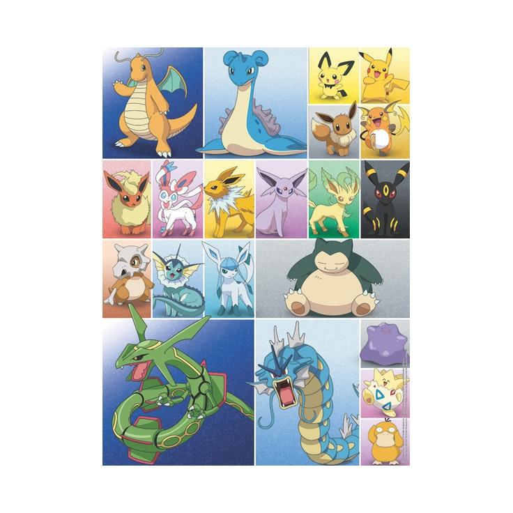Pokémon Collection 2x500p