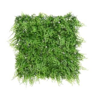 Viherseinä saniainen 50 x 50 cm vihreä